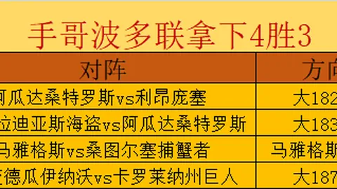 梅西世界杯赛场独闯13关，刷新进球纪录终极指南