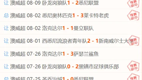 2026巴西甲数据解析：教你精准辨别真实走势